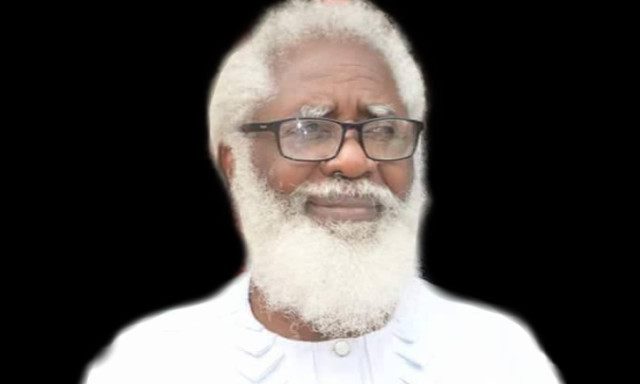 Member, Governing Council, Lead City University, Yemi Farounbi